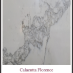 Calacutta Florence slab/edge